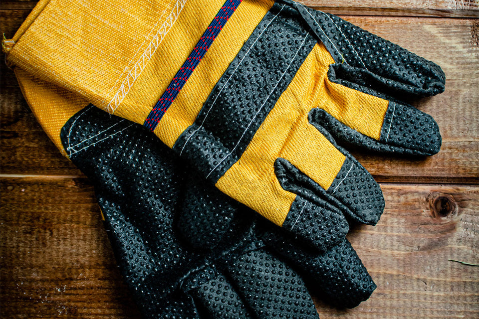 Women's Gloves